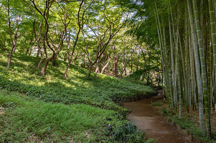 Tonogayato Gardens Guide – Visit with The Tokyo Pass Tonogayato Gardens Guide – Visit with The Tokyo Pass